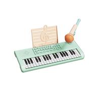 Amagogo Kids Piano Keyboard Electronic Keyboard Gift Teaching Musical Instrument Toy Early Learning for Children Mini Piano 37 Keys, Green