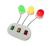 Amagogo Light Switch Sensory Board Red Green Yellow Lights Indoor Play Game for Boys Girls, Style B
