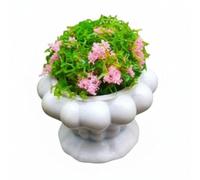 Amagogo Miniature Dollhouse Flower Pot Figurine With Intricate Textures And Bright Colors For Scale Scene Room Decor Suitable For Bookshelf Window Sill, A