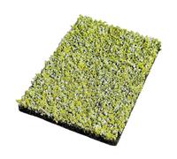 Amagogo Miniature Flower Cluster, Scenery Flower Vegetation groups Grass Tufts for Model Railroad, Landscape Model Building, Wild Chrysanthemum