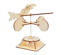 Amagogo Science Wind Vane Model Measuring Model Developmental Preschool Learning DIY Assembly