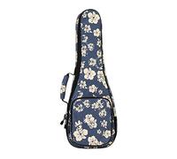 Amagogo Travel Ukelele Carry Case Gig Bags for Soprano Concert Tenor Storage, Nylon with Storage Pouch Backpack Handbag, 21inch Blue