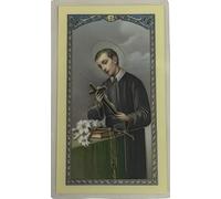 Amaing Saints Saint Gerard Prayer for Safe Delivery Holy Card Pack of 5