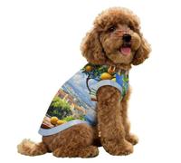 Amalfi Coast Lemon Tree Ltalian Dog Clothes Pet Vest Ice Silk Puppy Costume Cooling Shirts for Summer Cat Small