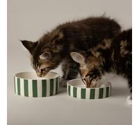 Amalfi Striped 2 Piece Cat Food Bowl & Saucer Set - Green