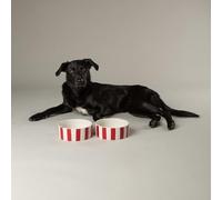 Amalfi Striped 2 Piece Dog Bowl Food & Water Bowl Set - Red - 15cm