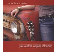 Amalia Vagts - Just Another Wayside Attraction