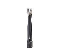 Amana Tool 316034 Solid Carbide 2 Flute RH Rotation 12mm D x 70mm CH x M8x1 Thread, for Domino, Joining Machine for Festool
