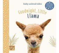 Amanda Wood Goodnight Little Llama Book Amanda Wood Multicolor