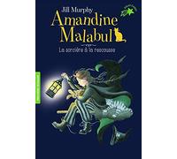 Amandine Malabul, la sorcière à la rescousse