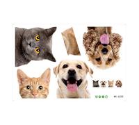 amangul Cartoon Door Sticker Kitten Designing Decal For Home Office Safe Removable Room Decoration Lovely Kitten Stack Sticker