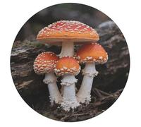 Amanita Caesarea Personalized Jigsaw Puzzles, 195Pcs Custom Wooden Jigsaw Puzzle Round Puzzle Gift Adult