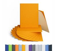 Amantech 12 Pack Acoustic Panels Self Adhesive Sound Proof Foam, High Density Sound Acoustic Panel, 16X12X0.4 Inch Rectangle Panels in Home, Office, Reccording Room, Studio,and more(Orange)