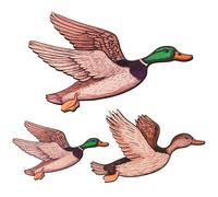 AmaQueen Mallard Duck Wall Art Decor Set, Rustic Wooden Wall Sculptures for Farm Nursery Bedroom Classroom Playroom Living Room Entryway Housewarming Party Set Home Office 3 Pieces (Large)