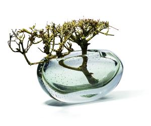 Amara vase t.s. Philippi