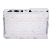 amaran Ace 25x - White
