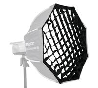 Amaran Light Dome SE Grid