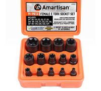 Amartisan 14 PC E Torx Star Female Bit Socket Set 1/2"/3/8"/1/4" Drive E4 -E24