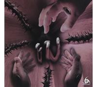 AMARYLLIS/COSMOS(ltd.)(TYPE A)