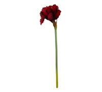 Amaryllis Stem - 72cm Burgundy, Deep Burgundy Petals With Realistic Texture And Form, Striking Faux Flower Premier Housewares Red One Size