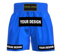 Amata Boxing Style 1 Customized Muay Thai Shorts Custom Fight Clothing MMA Gear Kick Outfit Men Women Kids Adult Boy Girl, Light Blue, Large