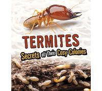 Amazing Animal Colonies: Termites: Secrets of Their Cozy Colonies