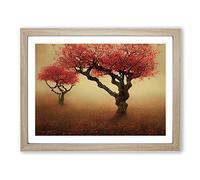 Amazing Apple Trees Framed Print | A2 Oak Framed Wall Art | Ready to Hang | Modern Floral Picture | Living Room Bedroom Lounge Office