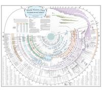 Amazing Bible Timeline with World History (Standard 37" x 45")
