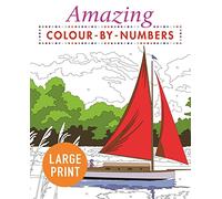 Amazing Colour-by-Numbers Large Print: (Arcturus Large Print Colour by Numbers Collection)