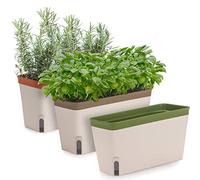 Amazing Creation Window Herb Planter Box Rectangular Self Watering Indoor Garden for Kitchens Grow Plants, Flowers or Succulents, Large Water Reservoir | Window Sill Planters Indoor | Herb Pots 3 Pack