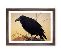 Amazing Crow Bird Framed Print | A2 Walnut Framed Wall Art | Ready to Hang | Modern Animal Picture | Living Room Bedroom Lounge Office