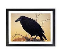 Amazing Crow Bird H1022 Framed Print for Living Room Bedroom Home Office Décor, Wall Art Picture Ready to Hang, Black A4 Frame (34 x 25 cm)