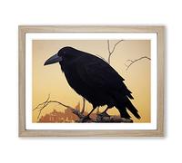 Amazing Crow Bird H1022 Framed Print for Living Room Bedroom Home Office Décor, Wall Art Picture Ready to Hang, Oak A4 Frame (34 x 25 cm)