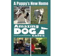 Amazing Dog Tales A Puppy's New Home [Region Free]