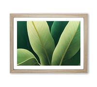 Amazing Leaf Framed Print | A4 Oak Framed Wall Art | Ready to Hang | Modern Floral Picture | Living Room Bedroom Lounge Office