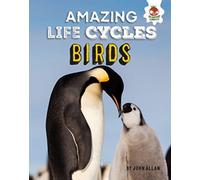 Amazing Life Cycles-Birds