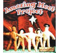 Amazing Meet Project - Undrugged