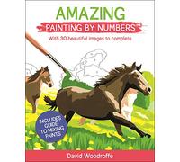 Amazing Painting by Numbers: With 30 Beautiful Images to Complete. Includes Guide to Mixing Paints (Arcturus Painting by Numbers)