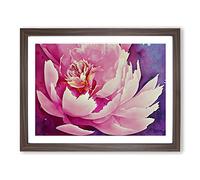 Amazing Peony Flower Framed Print | A2 Walnut Framed Wall Art | Ready to Hang | Modern Floral Picture | Living Room Bedroom Lounge Office