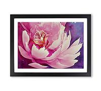 Amazing Peony Flower Framed Print | A3 Black Framed Wall Art | Ready to Hang | Modern Floral Picture | Living Room Bedroom Lounge Office