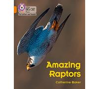 Amazing Raptors: Band 06/Orange (Collins Big Cat Phonics for Letters and Sounds)