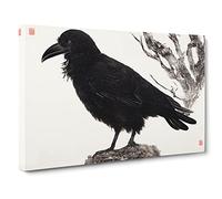 Amazing Raven Bird Canvas Print | Gallery Wrapped 30mm Frame Wall Art | 30x20 inches | Ready to Hang | Contemporary Animals Picture | Living Room Bedroom Lounge Office