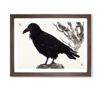 Amazing Raven Bird Framed Wall Art Print A2 Walnut