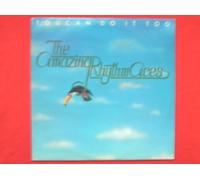 Amazing Rhythm Aces - Amazing Rhythm Aces Toucan Do It Too LP ABC ABCL5219 EX/EX 1977 with insert