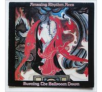 AMAZING RHYTHM ACES - BURNING THE BALLROOM DOWN LP (VINYL ALBUM) UK ABC 1978