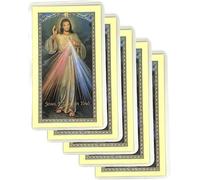 Amazing Saints The Chaplet of the Divine Mercy Laminated Holy Card Set of 5