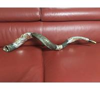 Amazing Silver - plated 45" Yemenite Horn Shofar Kudu Lion