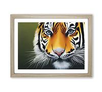 Amazing Tiger Framed Wall Art Print A2 Oak