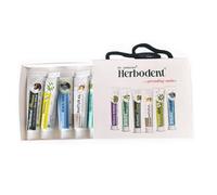Amazing Toothpaste Minis- Travel Pack- 15g Pack of 6 | Herbodent® Natural | Premium | Sensitive | Blackseed | Diabetic | NEEM 7 in 1-1 Each