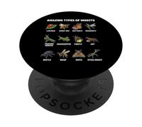 Amazing Types Of Insects Bug Species Educational PopSockets Adhesive PopGrip